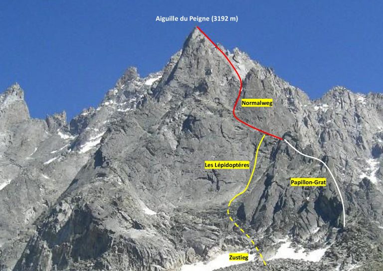 Lépidoptéres an der Aiguille du Peigne allgaeuplaisir.de